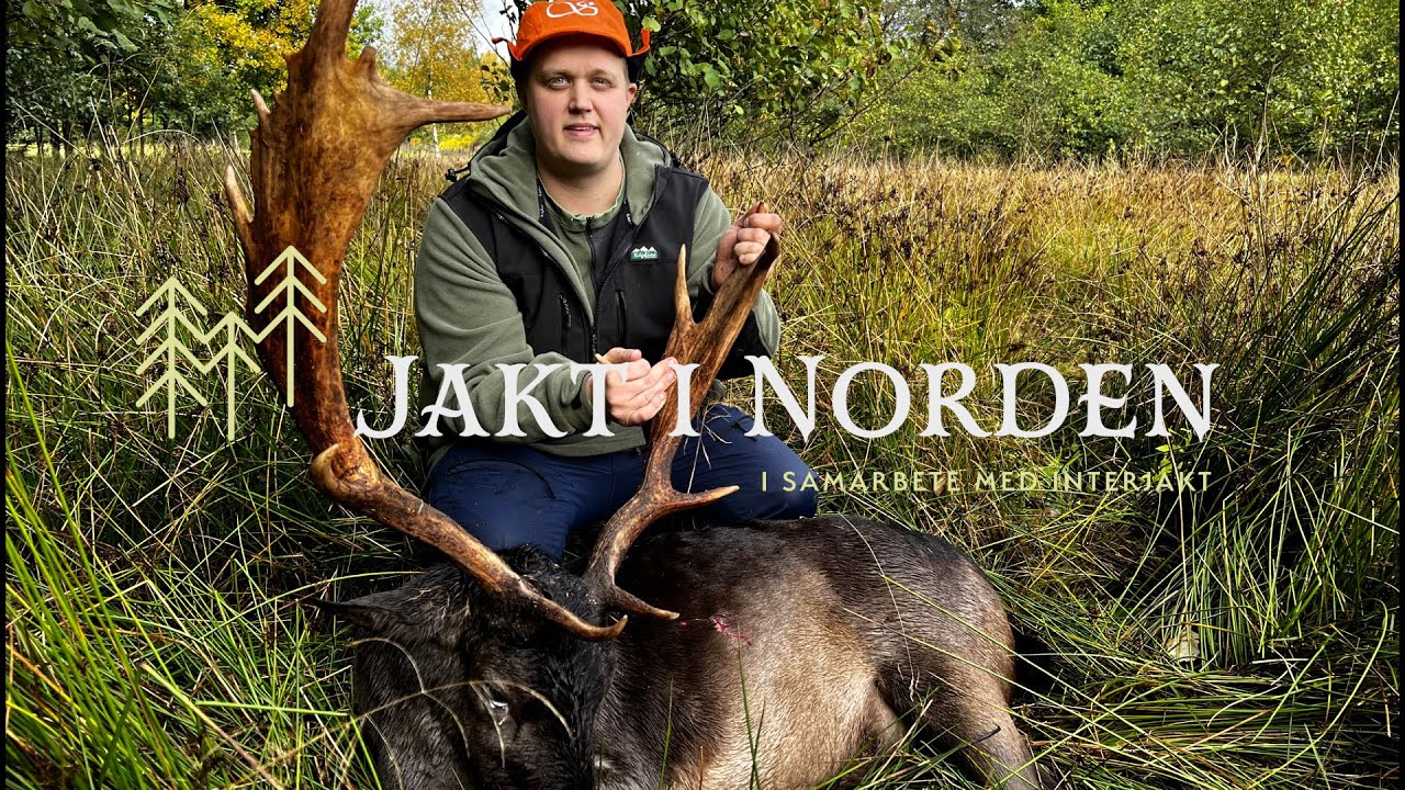Jakt i Norden - Drevjakt, en omv&auml;xlande jaktform (del 1)