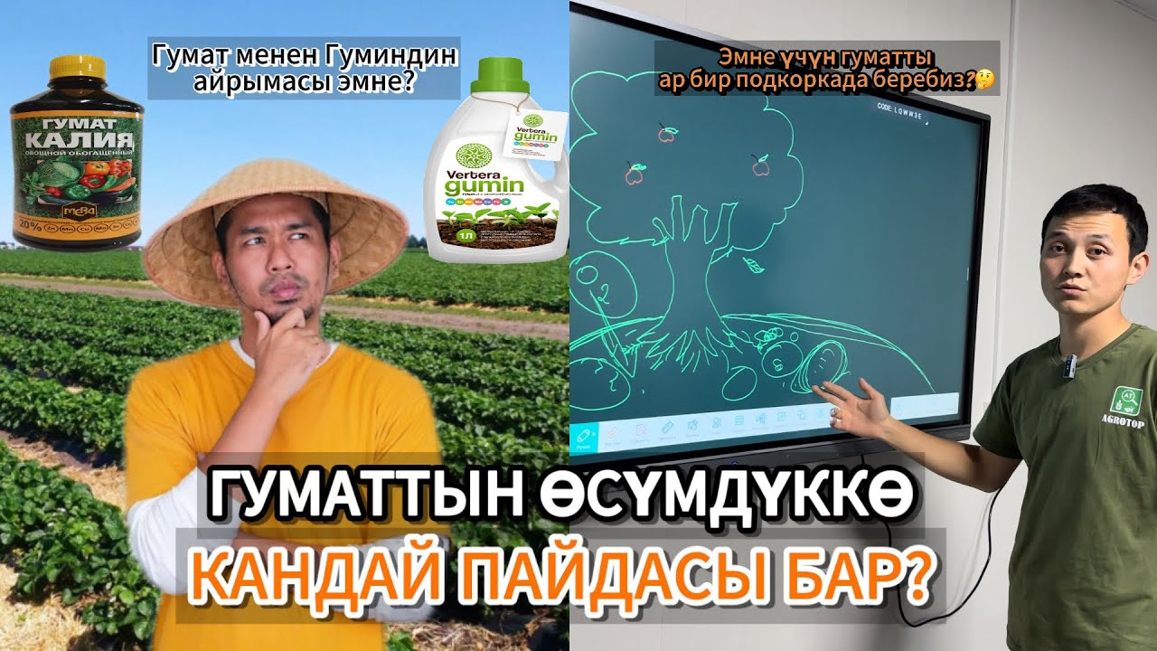 Эмне үчүн гуматты жума сайын бериш керек? Гуминдин,гуматтан айрымасы эмнеде?