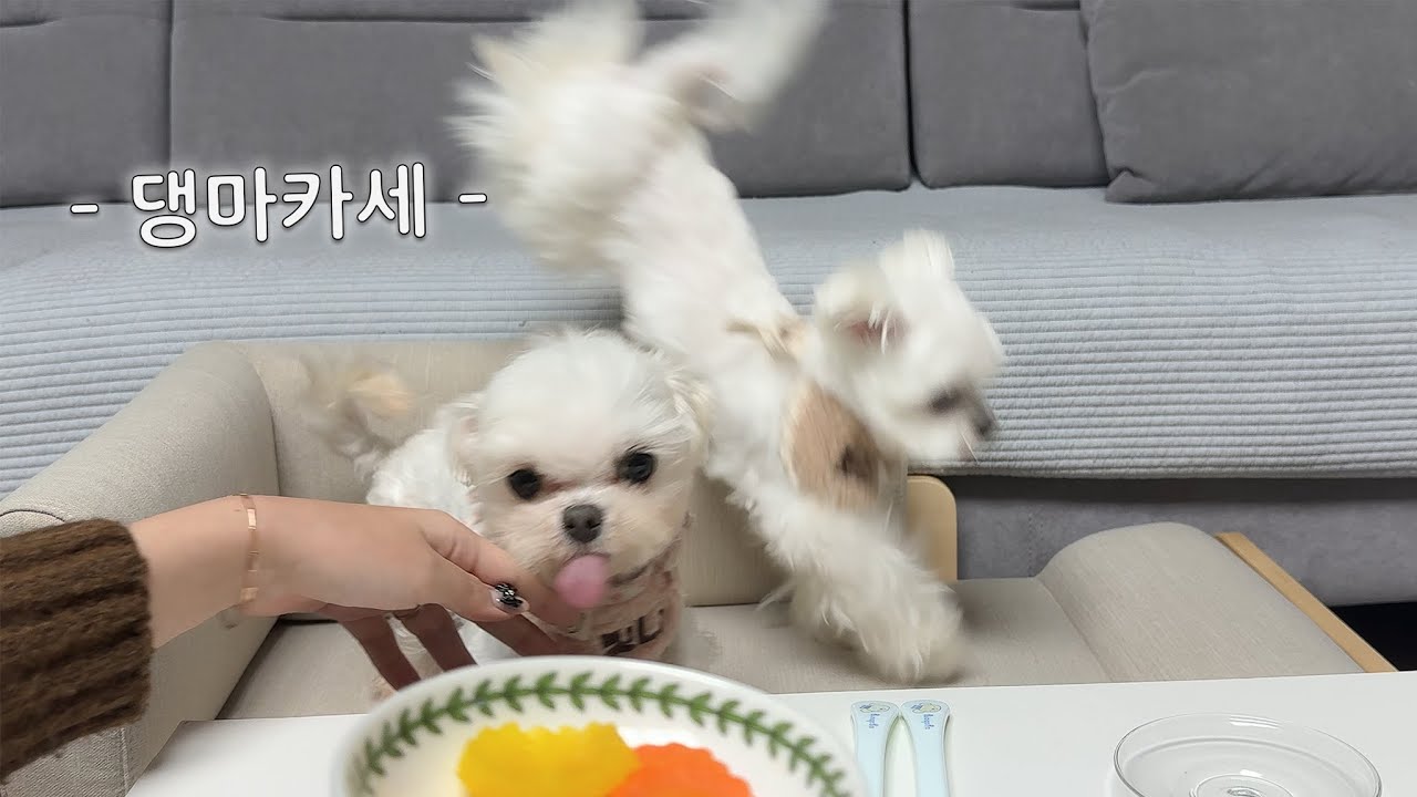 진상 고개님들 어서오세요..