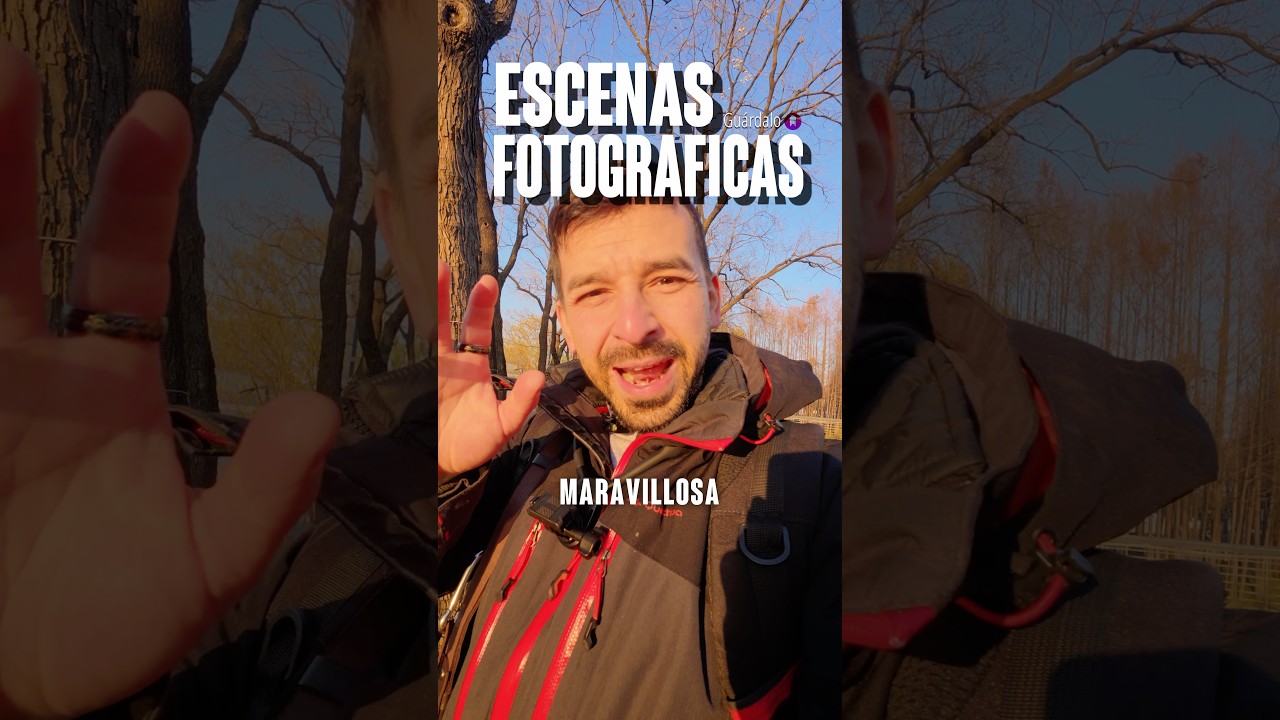 Una escena fotográfica perfecta 
