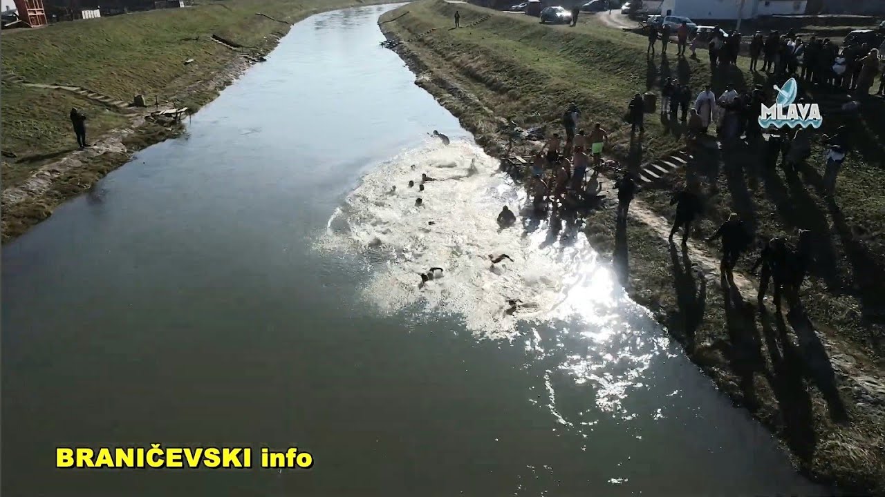Plivanje za Časni krst u Petrovcu na Mlavi organizovano 7. put