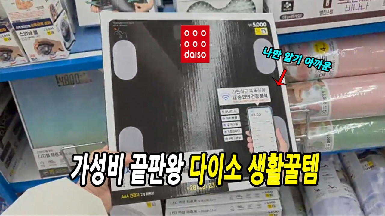 다이소 역대급 가성비 좋은 꿀템만 모았어요 | 퀄리티좋은  다이소 신상