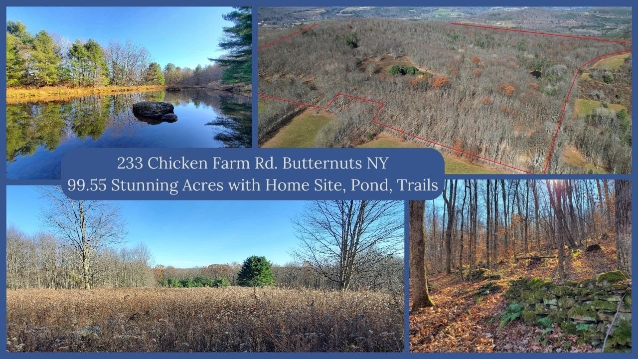 MASSIVE 100 Acre Property Walk Through in Upstate New York! Pristine Woods, Meadows, POND! $350,000