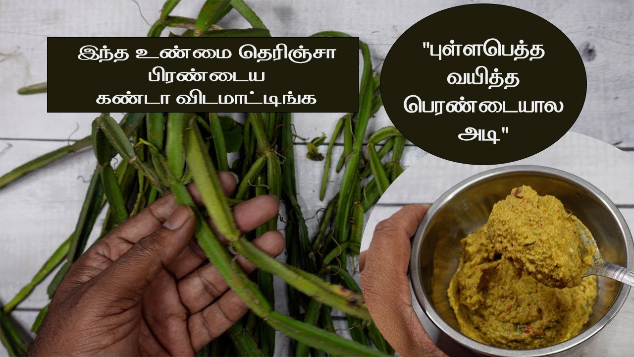 புள்ளபெத்த வயித்த பெரண்டையால அடி | பிரண்டை துவையல் | பிரண்டை ரகசியம்   pirandai recipe