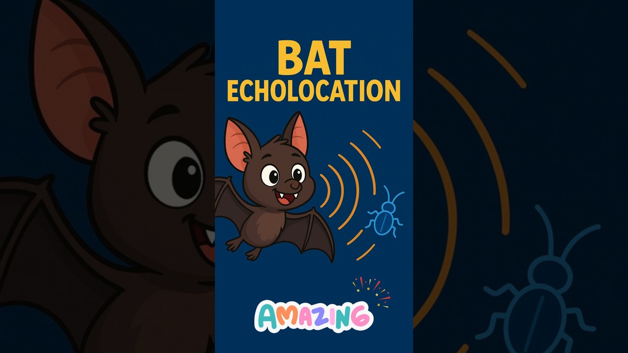 How Bats See with Their Ears! | Amazing Echolocation Explained for Kids