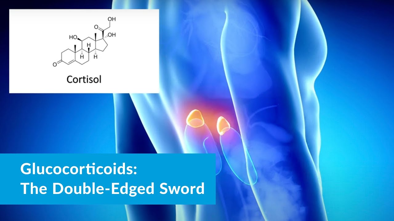 Glucocorticoids: The Double-Edged Sword