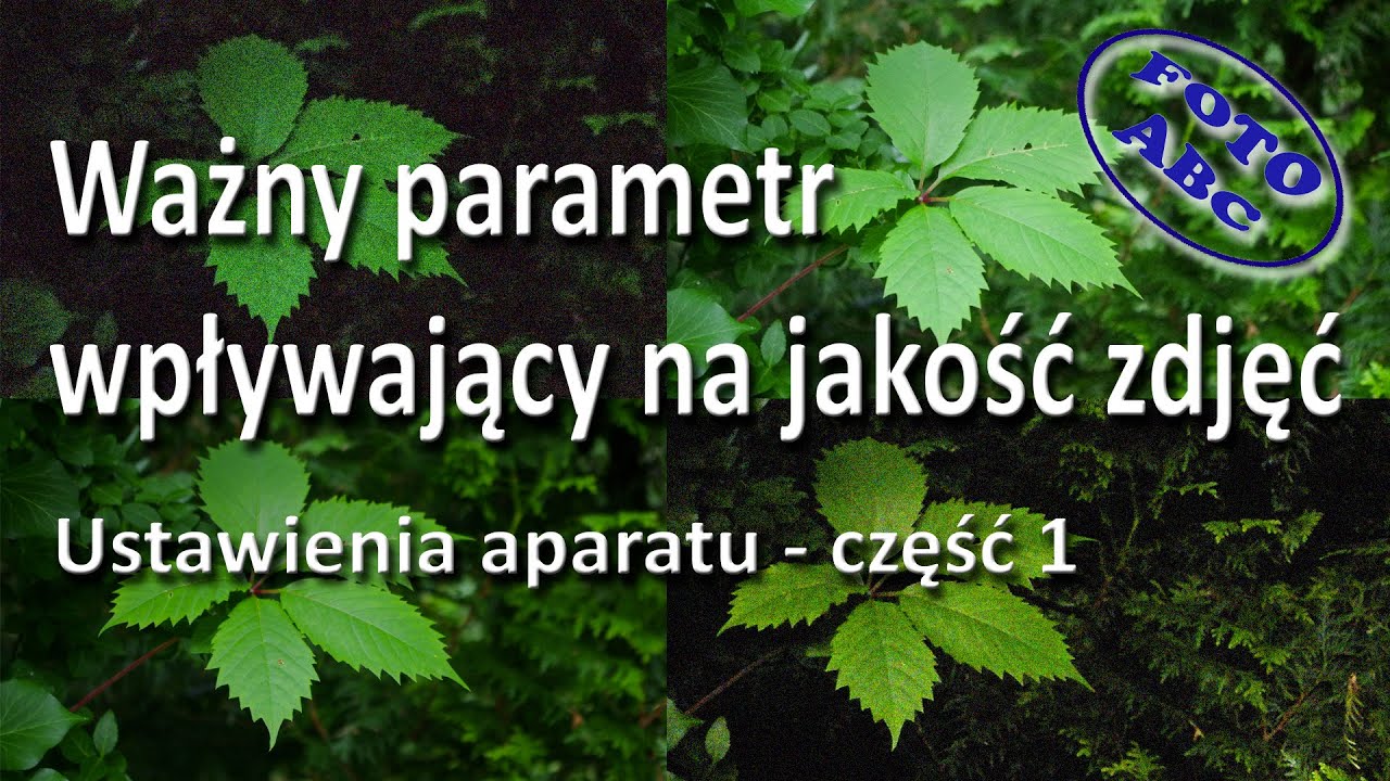 Ustawienia aparatu czyli droga do dobrych zdjęć - cz. 1