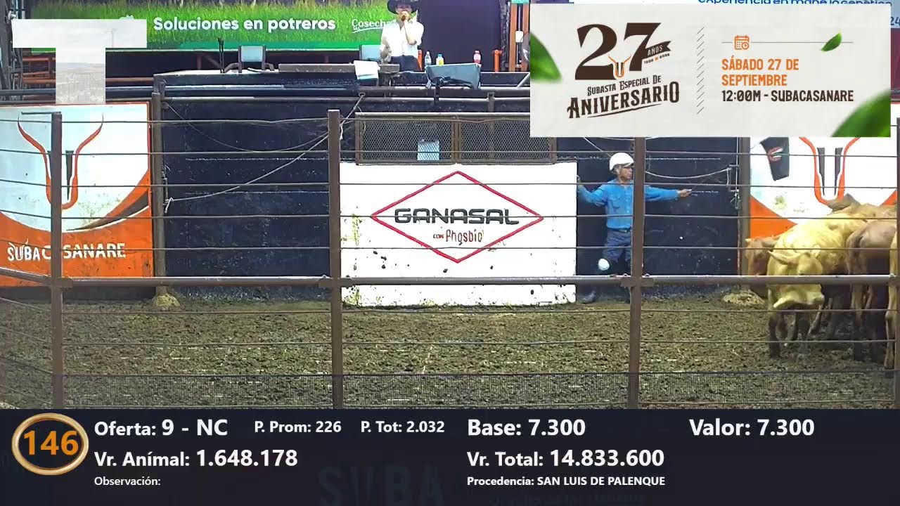 Subasta Comercial 1878, 12:00 m