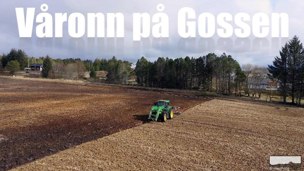 Våronn på Gossen