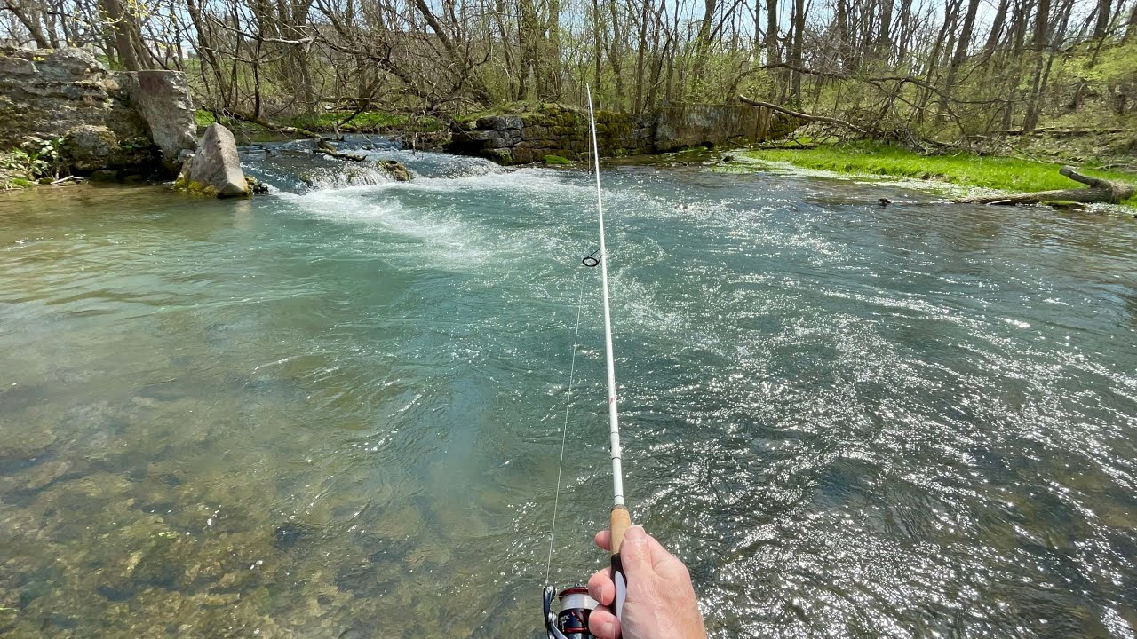 ТАК МНОГО ФОРЕЛИ!!! Рыбалка на ручьевую и ручьевую форель
