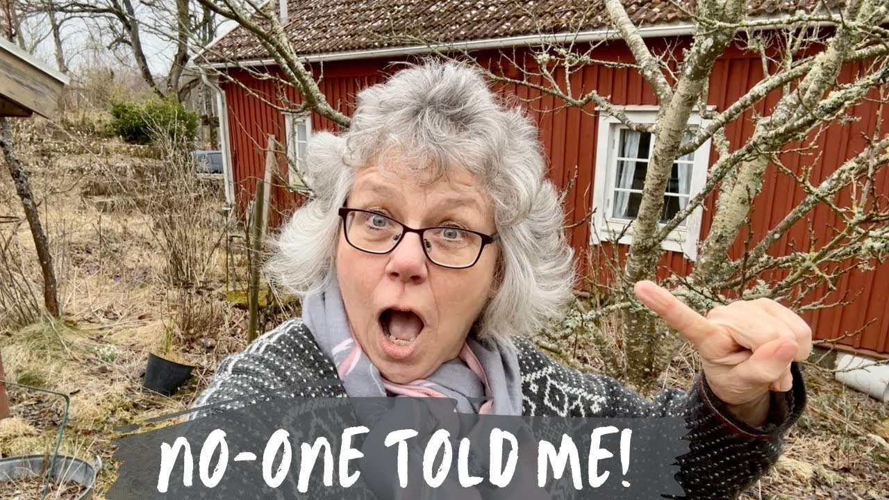 10 Things I Wish I Knew Before I Bought A Cottage in Sweden