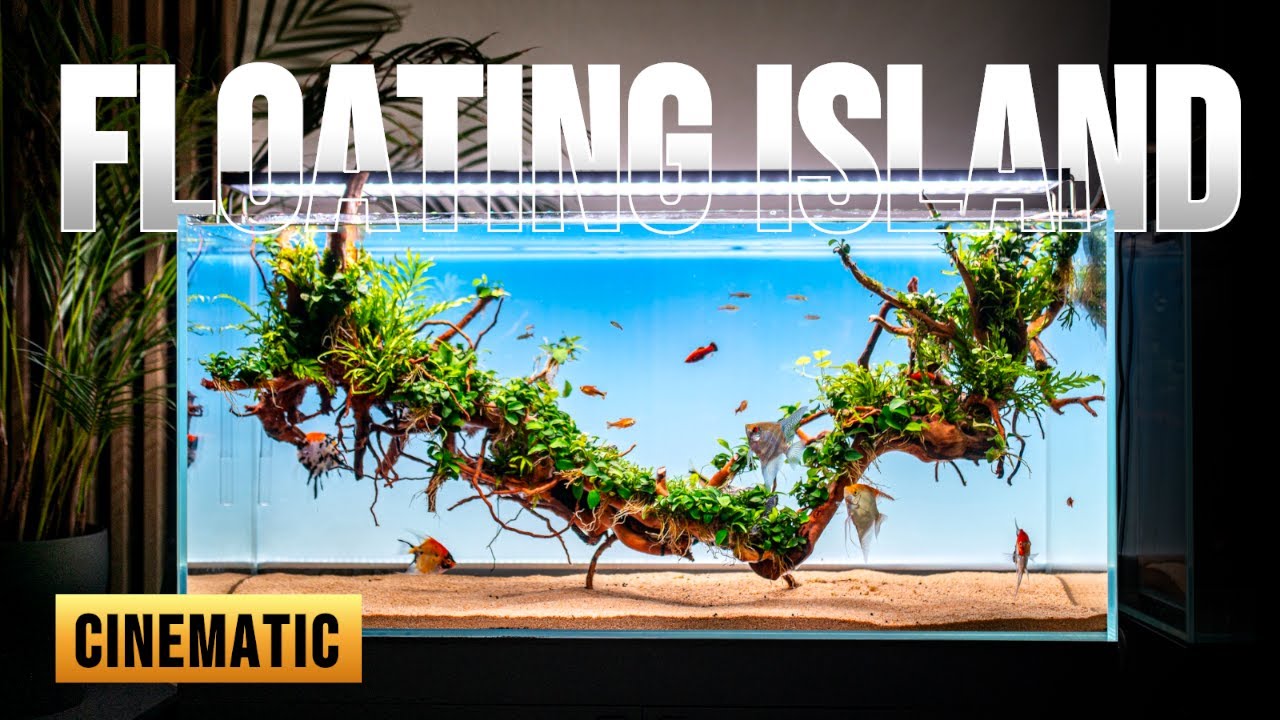 INVITAL Floating Island Aquarium | CINEMATIC