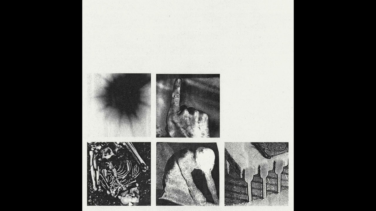 [FREE] LOOP KIT / SAMPLE PACK 2022 - 