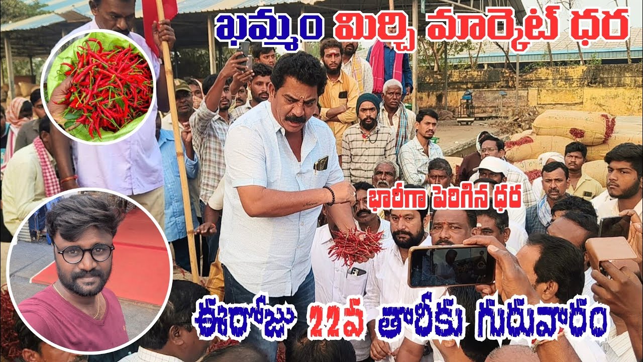 22/01/2026  khammam mirchi market price khammam mirchi market today #dharalu#mirchi#mirchiratetoday