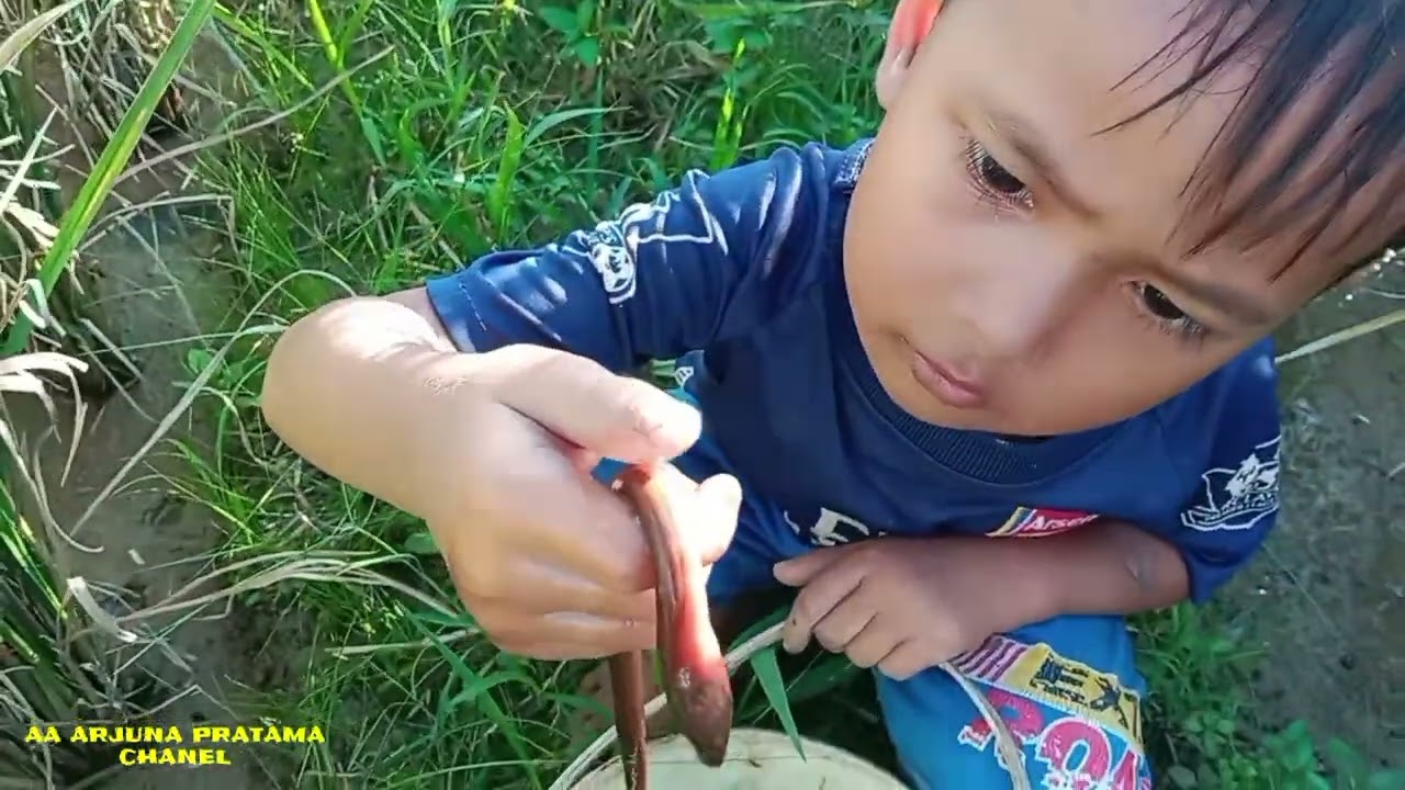 BAGIAN 7 | SPOT MANCING BELUT | NGEBOLANG MECARI BELUT DAN IKAN BETOK BERSAMA BOCIL DI SAWAH