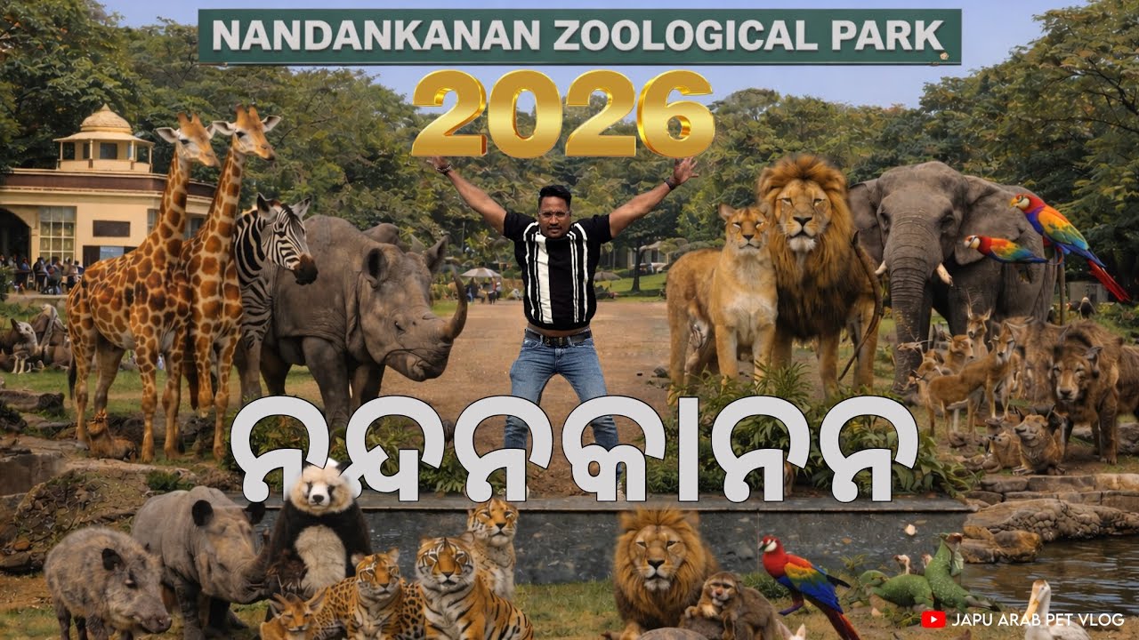 ଆସ ବୁଲିଯିବା ନନ୍ଦନକାନନ 2026 😍|| ବର୍ତ୍ତମାନ ନାନ୍ଦନକାନନ ରେ କେତେ ଜୀବଜନ୍ତୁ ଅଛନ୍ତି 😞?।