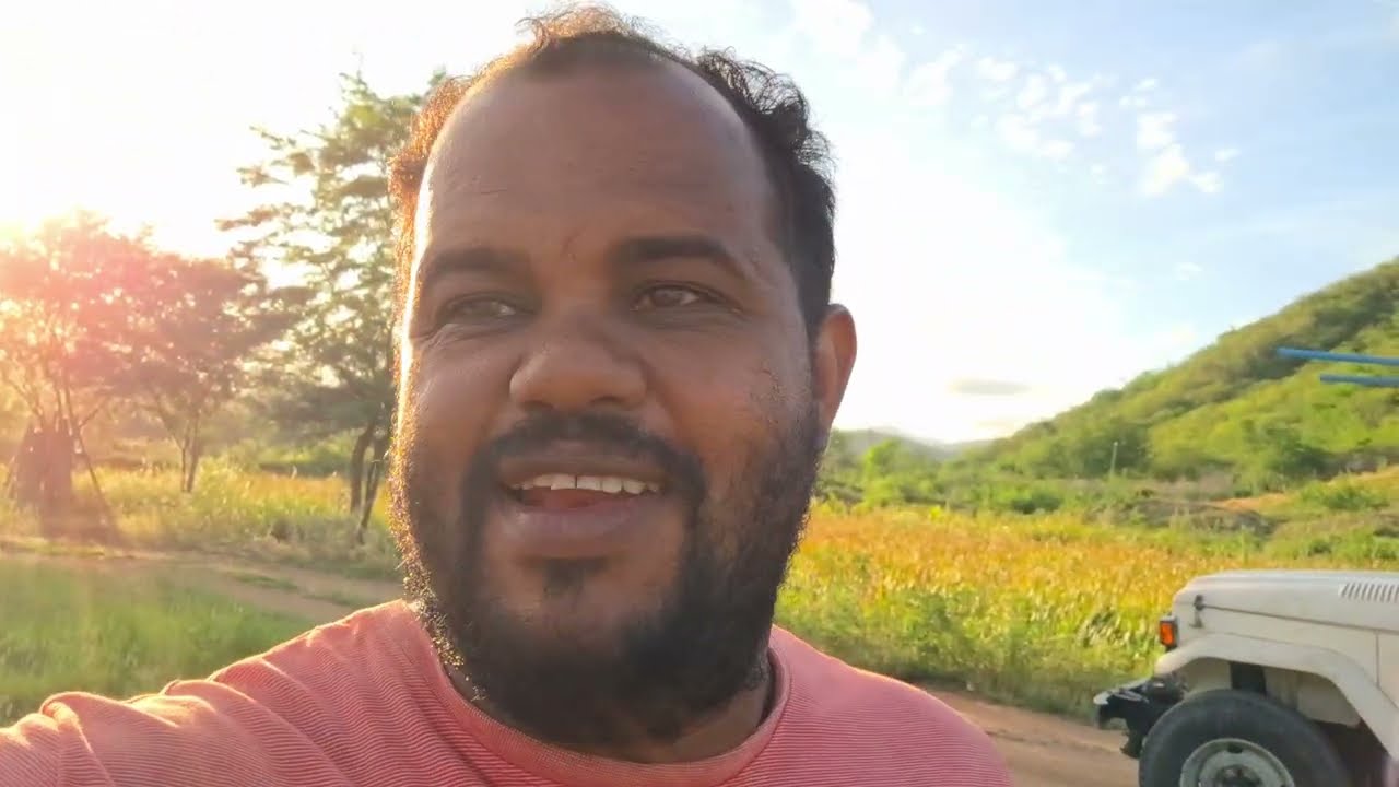 FENO DE TIFTON POR 28 REAIS EM MINHA CIDADE || Já está valendo a pena entrar no ramo novamente