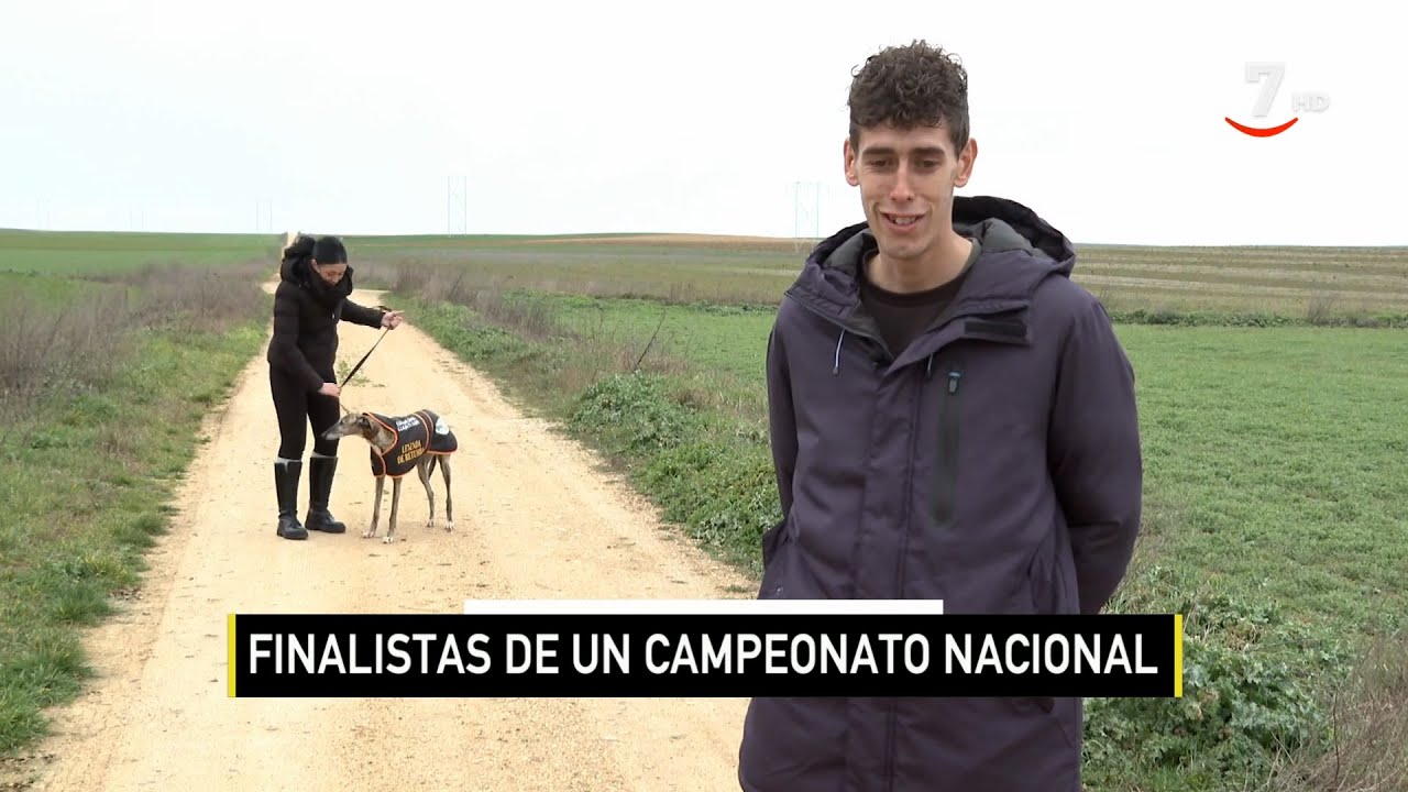 El campo al día (13/02/2024): Finalistas del Campeonato de España de Galgos