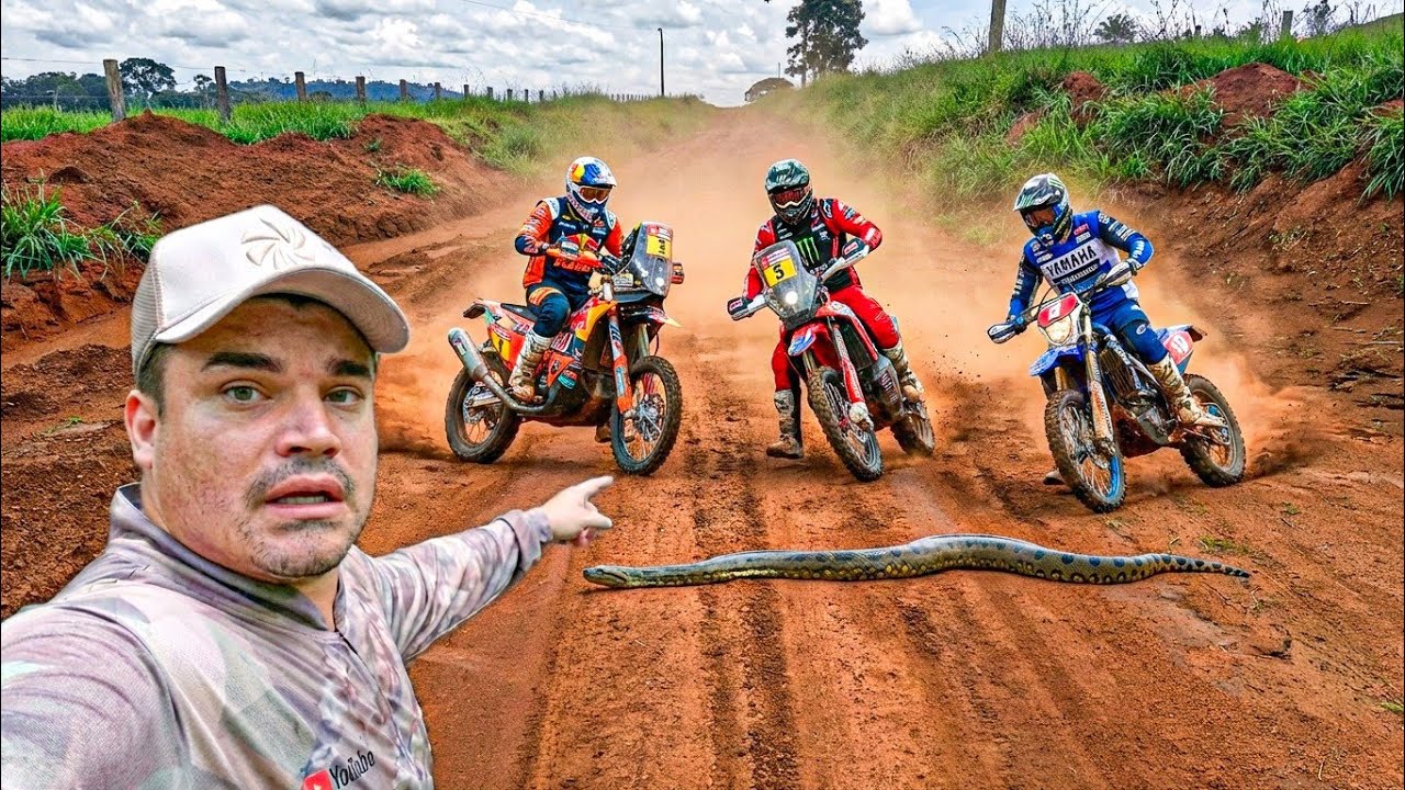COBRA SURGIU NO MEIO DO RALLY — FOI TENSÃO TOTAL