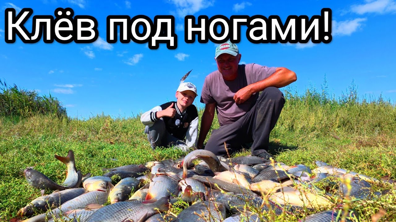 Рыбалка мечты: две удочки, дикая река и безумный клёв! Это не забудешь!🎣