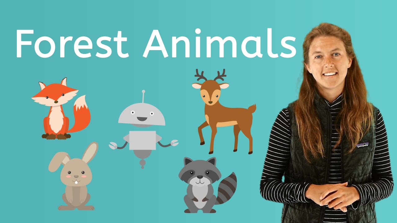 What Animals Live in the Forest?