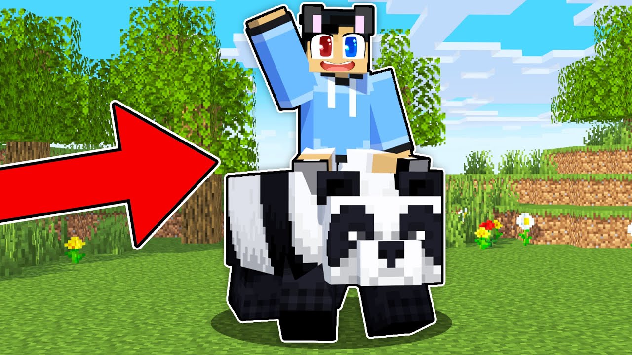 Raizu Can RIDE EVERYTHING in Minecraft!