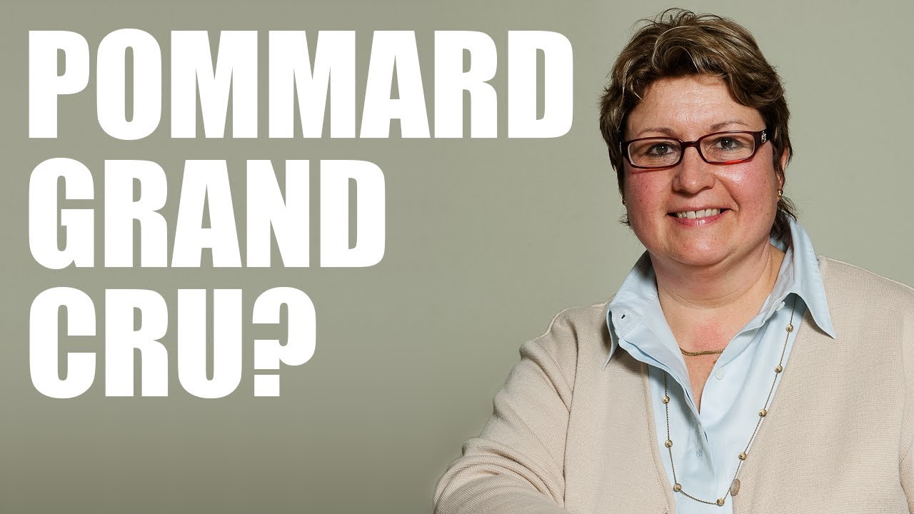 GRAND CRUS in POMMARD? Anne Parent on the future of Pommard.