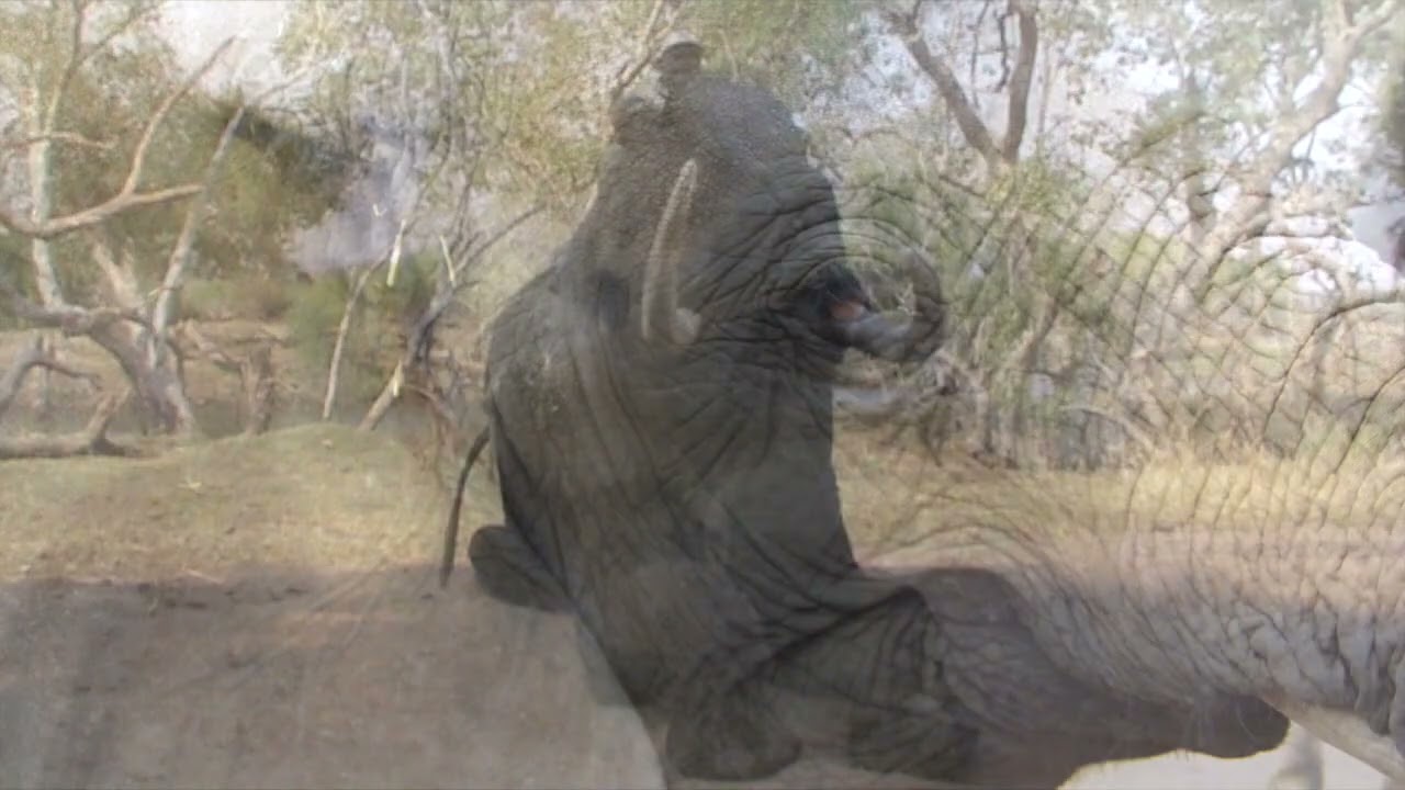 Afrique Australe  2013