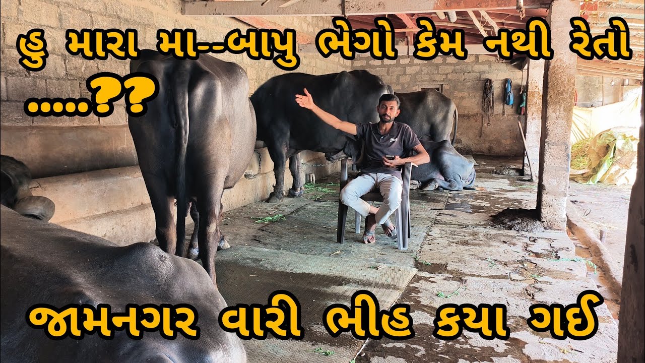 હુ મારા મા.. બાપુ ભેગો કેમ નથી રેતો...??