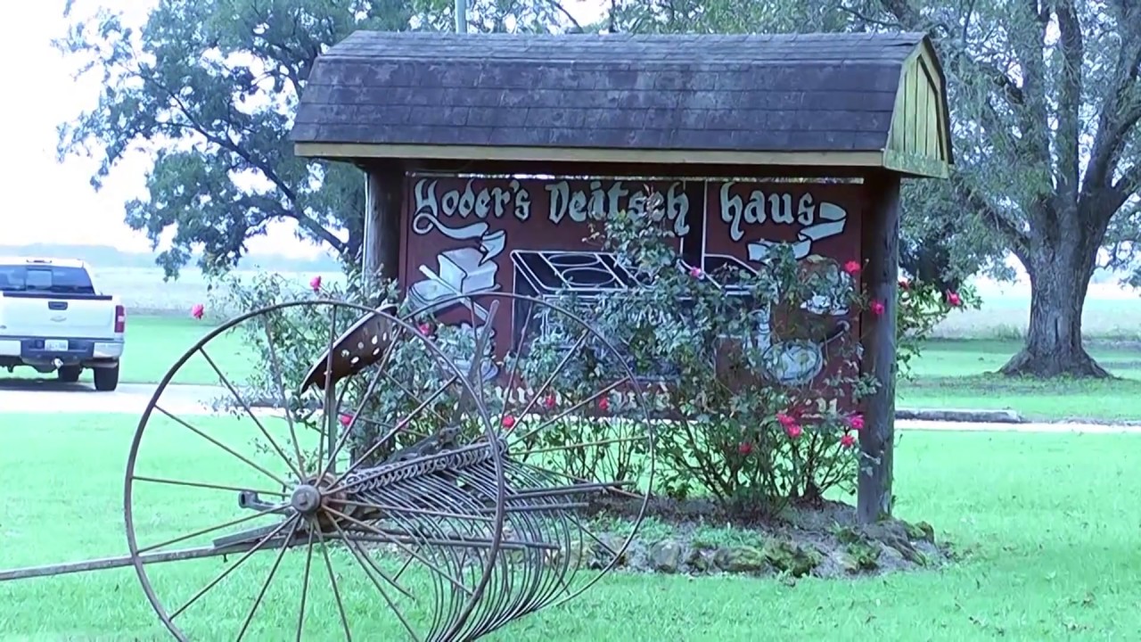 Georgia's Mennonite Communities
