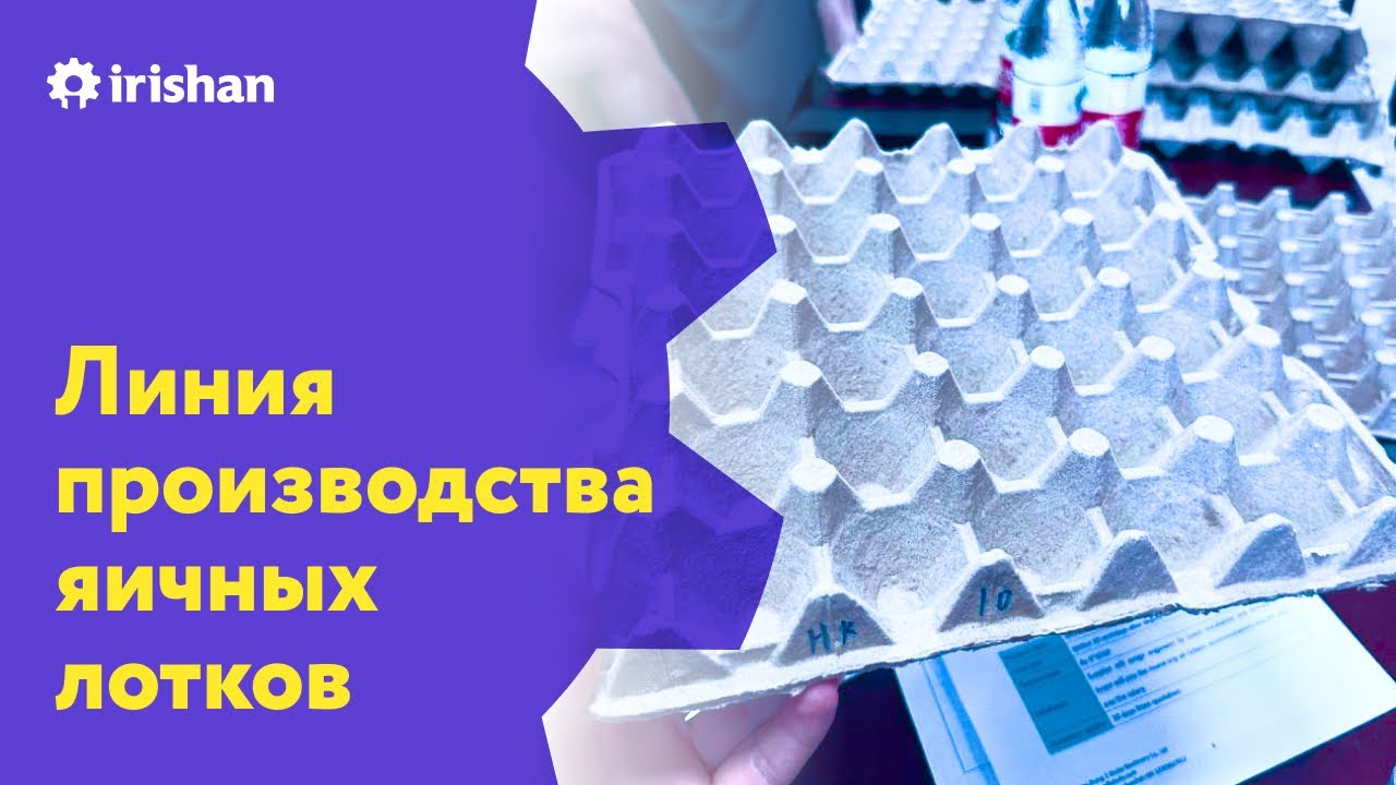 Бюджетная линия производства яичных лотков в Китае, реальная производительность 7000 лотков в час!