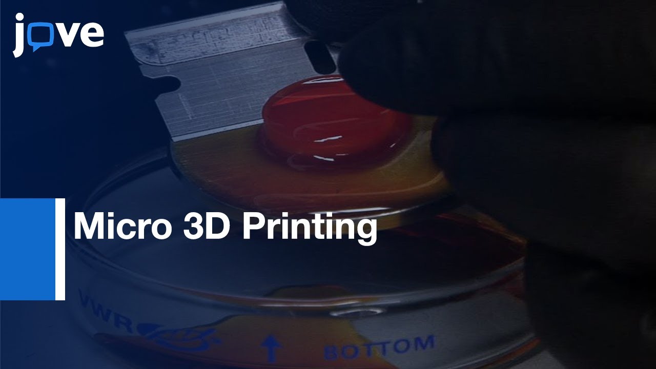 Micro 3D Printing Application in Studying Soft Material Mechanics | Protocol Preview