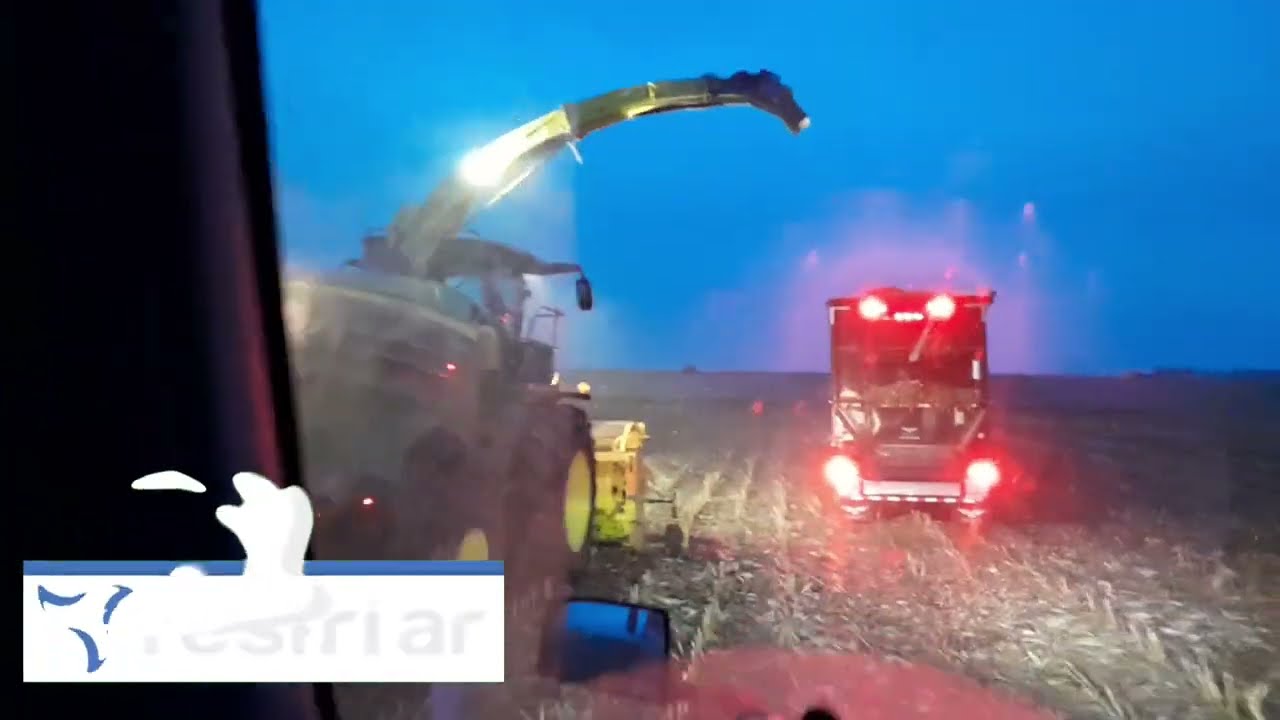 🇺🇸Volvo Dinossauro na Colheita🇺🇸