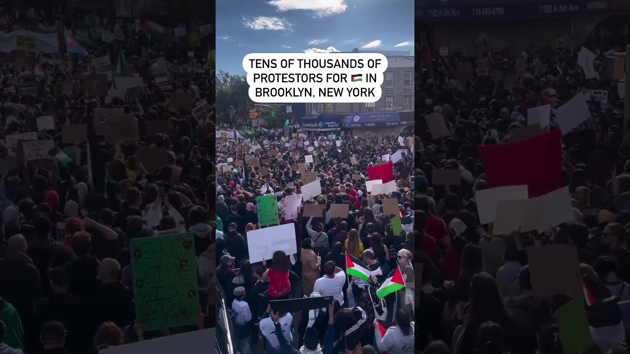Protest for Palestine in Brooklyn, New York | MUSLIM