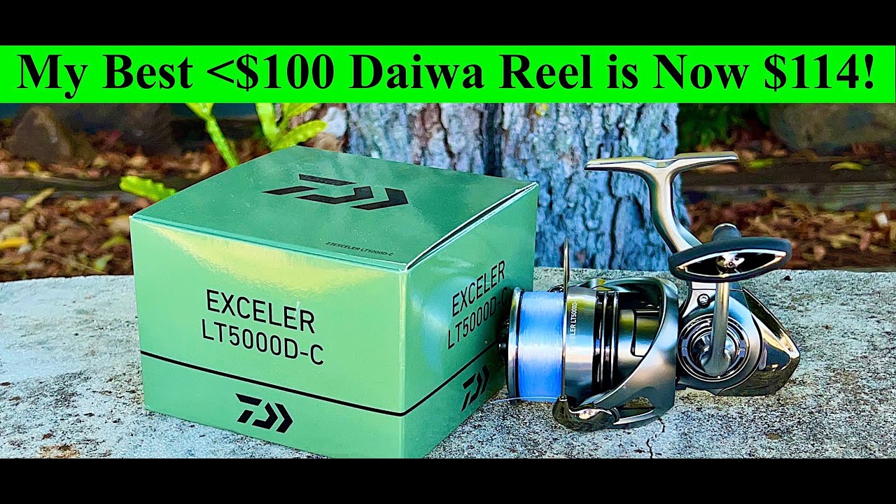 My #1 Daiwa Reel Under $100 Is Now $114!  $$ Going Up So GET IT NOW!