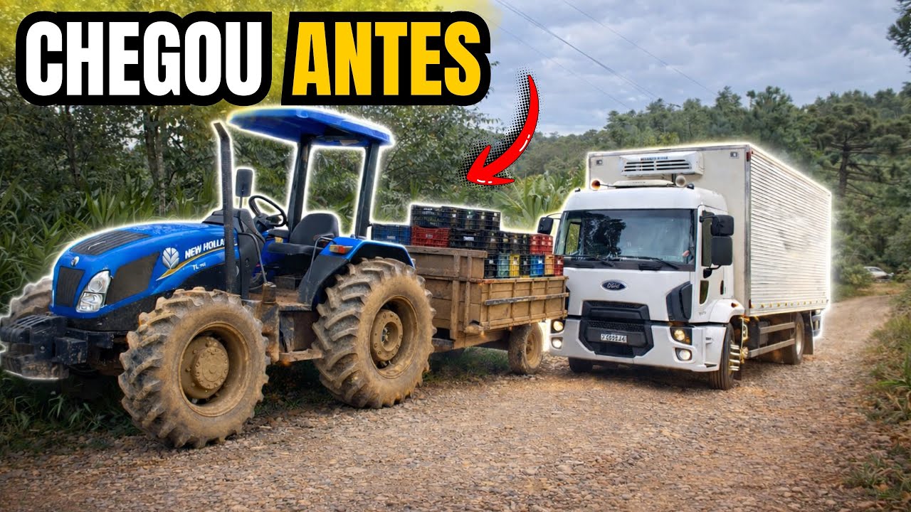 CHEGUEI NA ROÇA E O TRATOR JÁ ESTAVA ME ESPERANDO!