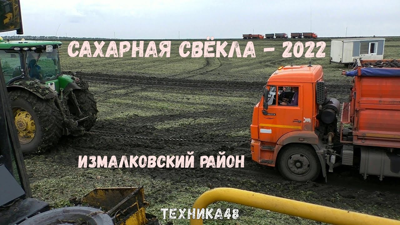 Выкопать свёклу - только полдела! Вывоз свёклы с поля. Камазы, Джон Диры и другие. Осень 2022 года