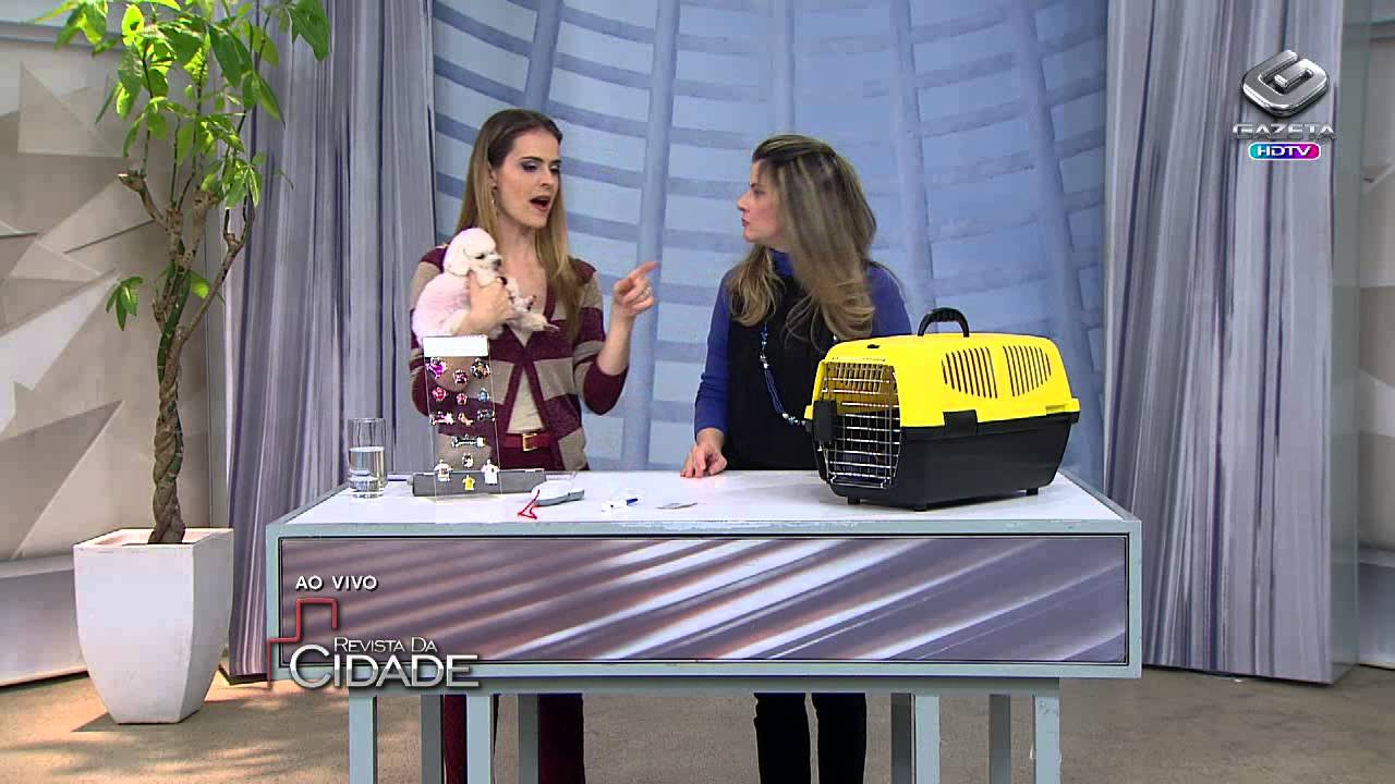 Pets- Como viajar com seu animalzinho de estimação