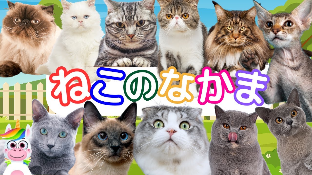 【ねこのなかま】ねこのなかま大集合！にんきのねこのなかまたちが１２種類登場！