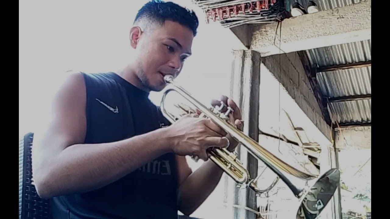 My Heart Will Go On - Celine Dion (Trumpet) Cover 🎺