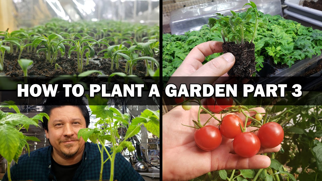 Growing Your First Garden   Episode 3 of 4