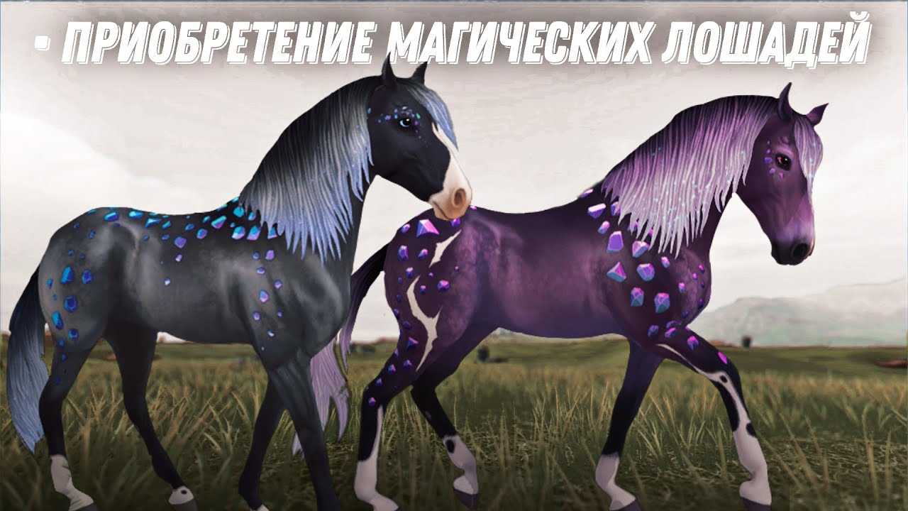 Star Stable Online ▶ покупка магических лошадей || Кальдер и Эфира ||