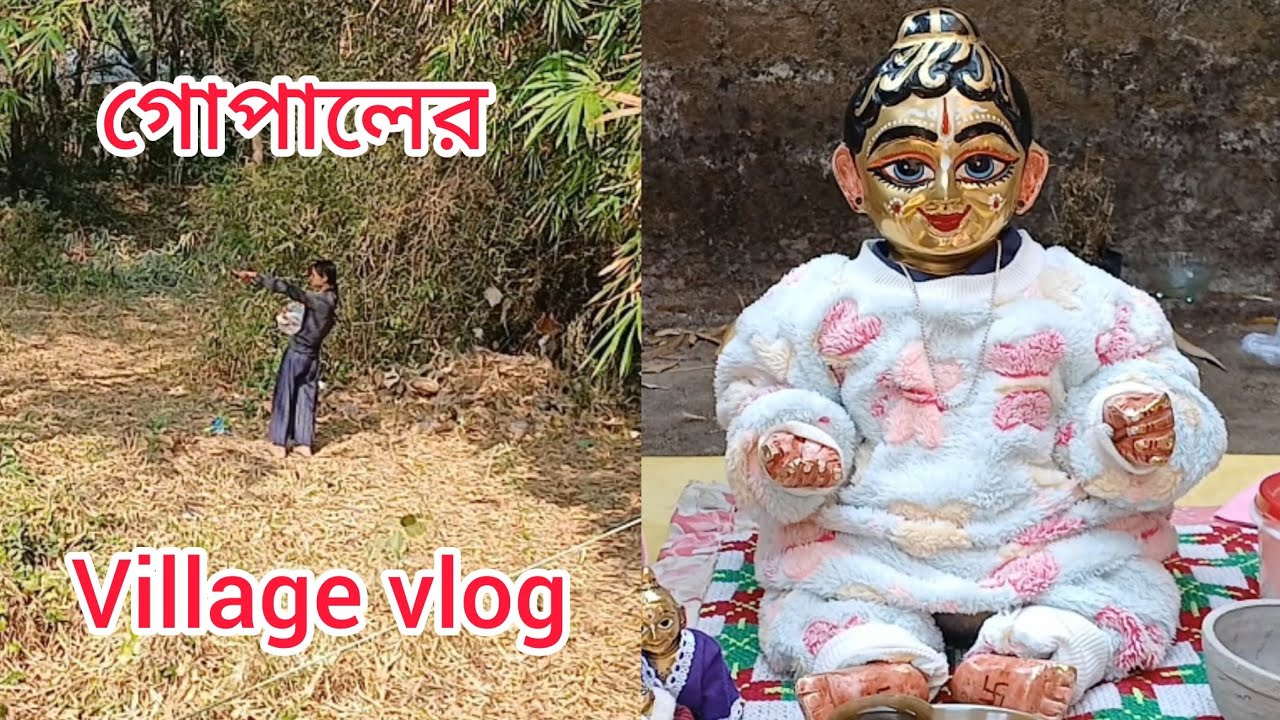 গোপালের Village Vlog গোপাল সোনাকে নিয়ে গেলাম জঙ্গলে ঘূরতে/ গোপালের সকালটা কেমন কাটলো | Radhe Radhe 
