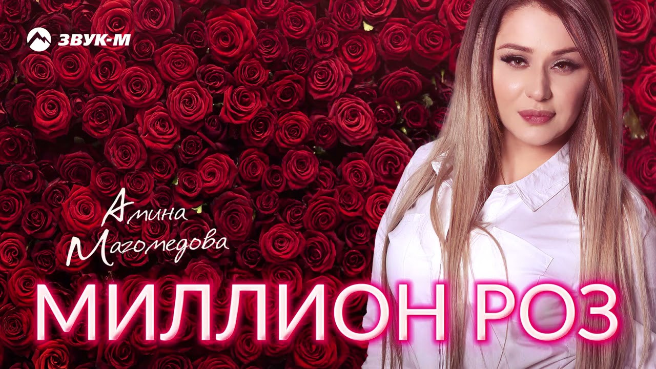 #Amirxonoff #Звукм #Песни Amina Magomedova 
