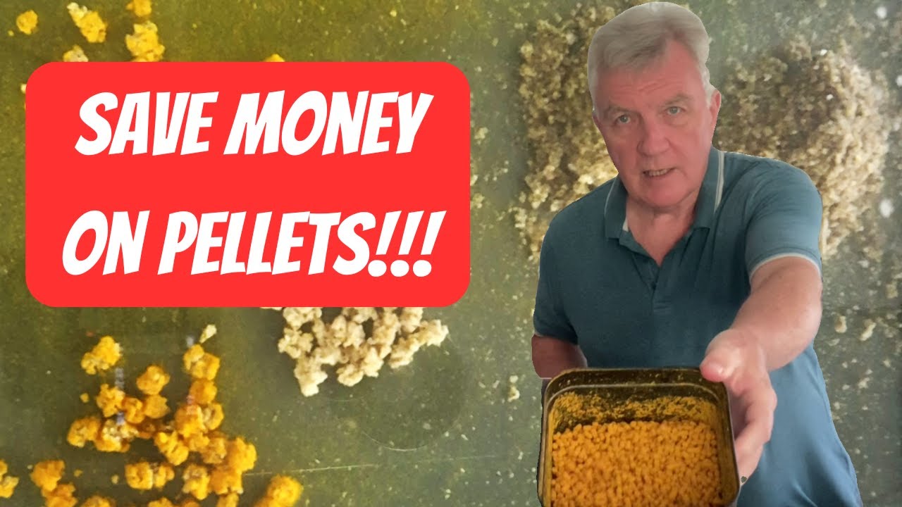 Save Money on Pellets for Fishing - Try These!