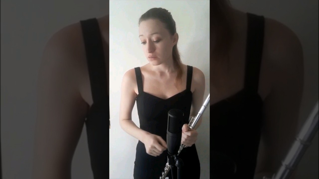 Oasis - Don't Look Back In Anger (flute/singing cover)
