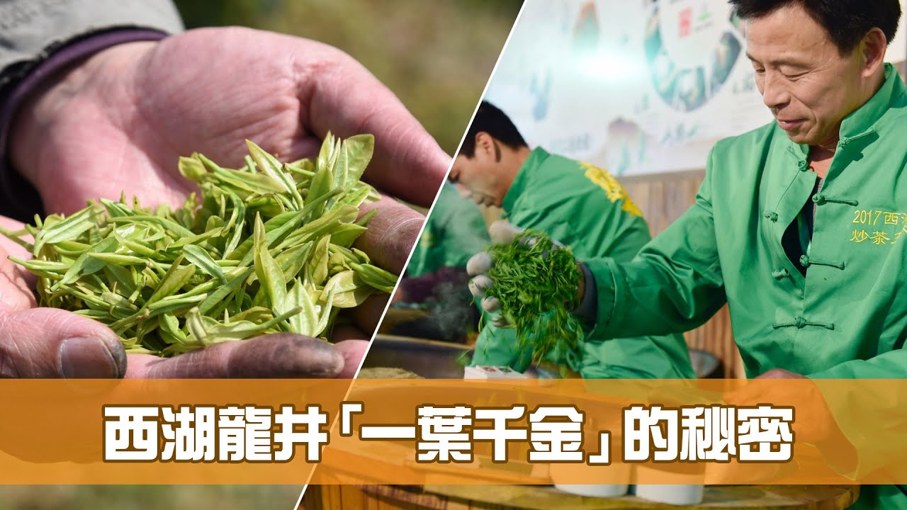 《文化新演繹》第9集：西湖龍井「一葉千金」的秘密