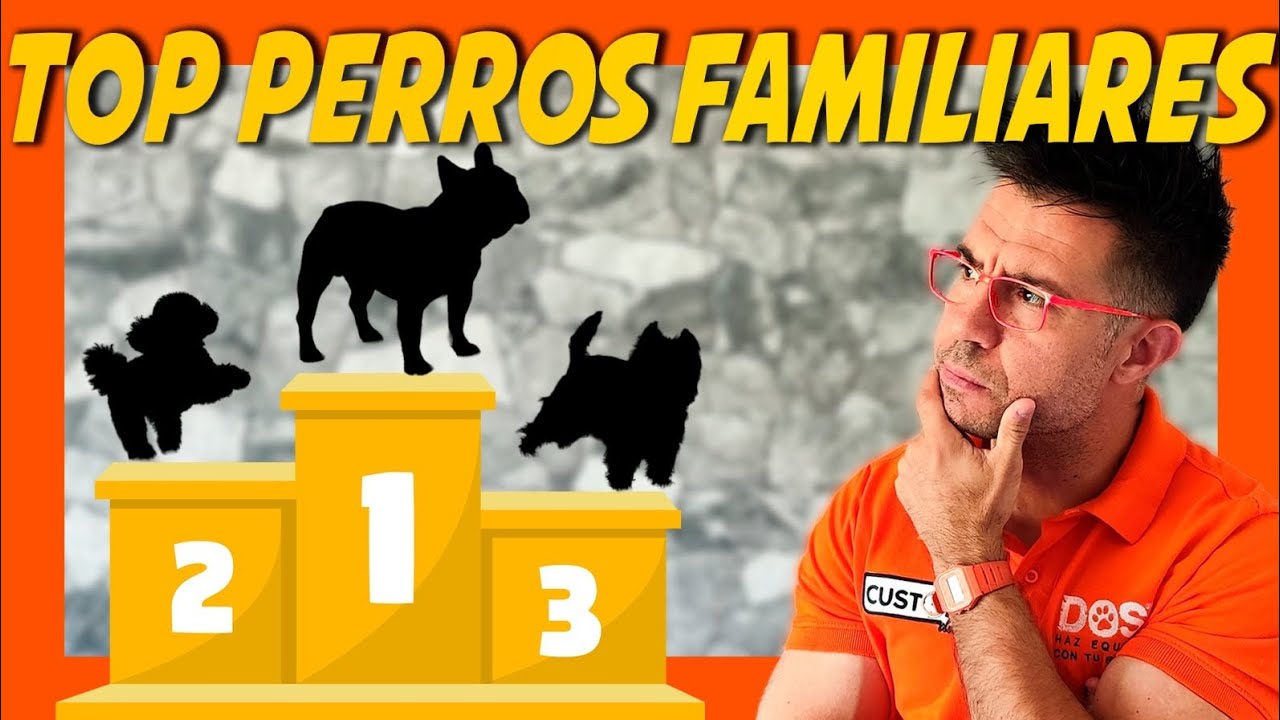 LAS 7 MEJORES RAZAS DE PERRO PARA FAMILIAS (ideales para niños) ❤️