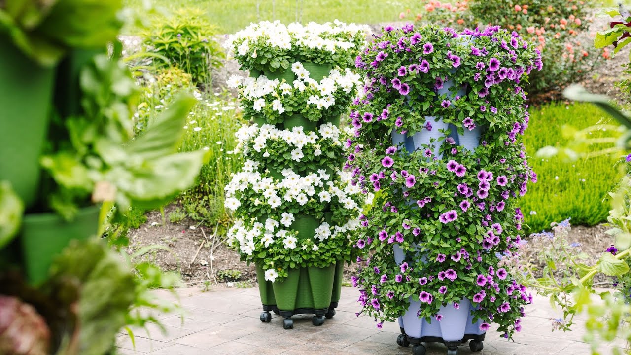 The #1 Mistake People Make With GreenStalk Planters!