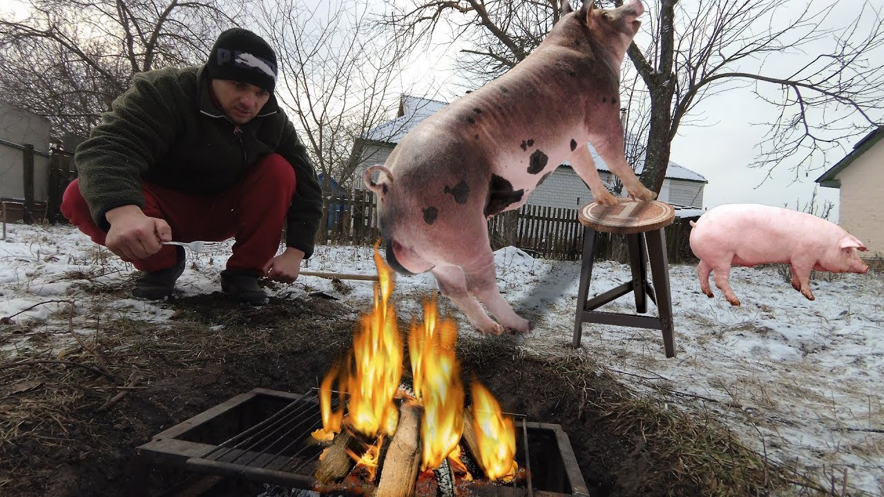 Приготовление на костре СВИННОГО ХВОСТА и сразу же его кушаем  (полный цикл приготовления)